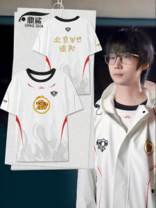DINGSHA | Breathable Quick-Dry Team T-Shirt