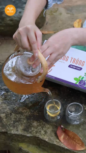 Trà Đông trùng Tô Diệp Thảo Dr. Trung – thư giãn ngủ ngon tăng đề kháng – từ Đông trùng Tía tô & thảo dược quý