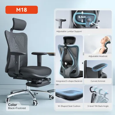 SIHOO M18 Ergonomic Office Chair for Big and Tall People Adjustable Headrest with 2D Armrest Lumbar Support Computer Chair Gaming 西昊人体工学椅 - 3 Years Warranty