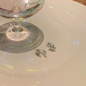 Super Flash Star Zircon Stud Earrings for Women Elegant Special-Interest Design Fancy Earrings Earrings without Piercing Mosquito Coil Ear Clip