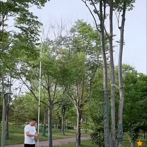 High branch Saw Pole Saw Telescoping High Altitude Branch Pruning Saw Tree Hand Tools Garden Pruning Branch Garden Saw