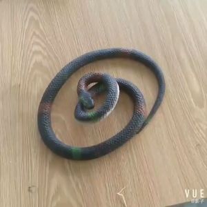 Flexible Lifelike Snake Prank Toy Simulation Snake Toys Fake Snake Rubber Snake Toys for Kids