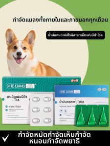 SHINY | Flea and Worm Remedy for Dogs