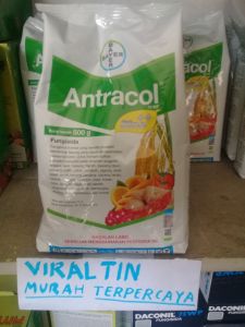 antracol 250 gr. Fungisida Obat hama jamur tanaman.