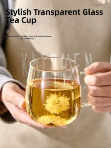 YAGANG | Office Personal Use Handle Transparent Glass Cup
