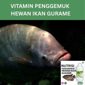 Vitamin Penggemuk Ikan Gurame Alami 250ml Nafsu Makan Naik Bobot Cepat Bertambah Max Penggemukan