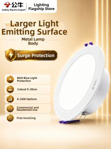 Bull | High Brightness Large Power Commercial Ceiling Light