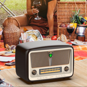 Panda | ลำโพงบลูทูธย้อนยุค Panda D-85 ลำโพงบลูทูธแบบไร้สายคุณภาพสูงสำหรับใช้ในบ้าน รั้งในห้องรับแขก มีช่องรับสัญญาณ FM