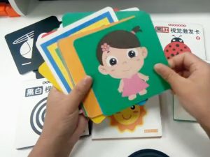 Payoe Flash Card Visual Stimulasi Bayi Hitam Putih & Mainan Kartu Pintar 0-3 Tahun