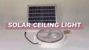 3000W Solar Ceiling Light BUY 1 TAKE 1 LED Indoor Light Emergency Waterproof With Remote
