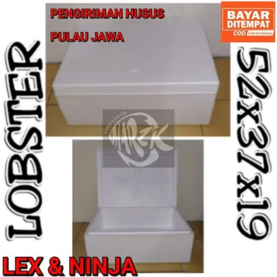(PROMO) P52 L37 T19 BOX STEROFOM/ BREEDING/ ICEBOX FROZEN FOOD AQUAPONIK HYDROPONIK