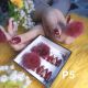 kuku Wedding pengantin