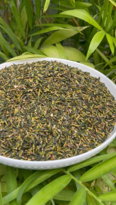 [Hàng công ty chất lượng cao] Trà tim sen khô 100g - Giúp an thần ngủ ngon trị mất ngủ hiệu quả | Thảo Dược Tấn Phát