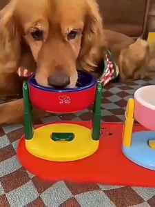 ชามอาหารหน้าแมว ชามอาหารทรงสูง สำหรับสัตว์เลี้ยง ดส่งในกรุงเทพฯ🐱 ชามอาหารสัตว์เลี้ยง ชปรับความสูงได้ วัสดุ PP ชามสัตว์เลี้ยง ชามแมว ชามสุนัข การออกแบบถ้วยดูดลื่น