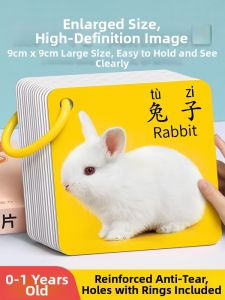 STARRY ARK | Educational Animal Cards for Infants and Toddlers 6 Months+