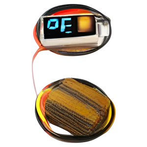 Risym | Digital DC Voltage Meter 0.36 Inch Display