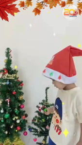 20warehouse เซ็ตหมวกและเครื่องประดับคริสต์มาส หมวกซานต้าคริสต์มาส แว่นตาเทศกาล ที่คาดผมซานต้า