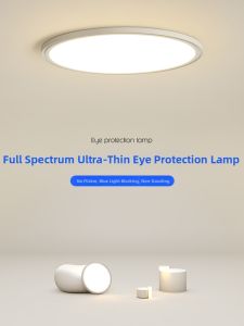 Full Spectrum Modern Simple Ceiling Light
