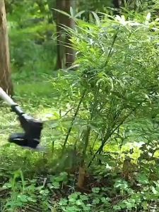 Portable Lithium Battery Mower: A Comprehensive Guide