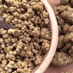 1kg GỪNG ĐEN GIÀ LÂU NĂM CỰC TỐT ( KHÔNG PHA TRỘN HÀNG TRỒNG)