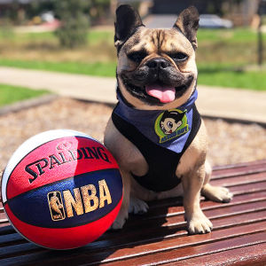 Spalding 74-655Y Basketball Tricolor Colorful Adult Game Fancy basket ball Standard Size 7 PU Basketball