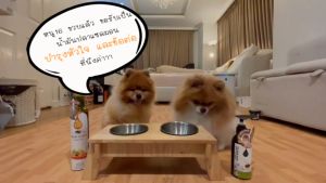 นอร์เวย์ Bake n Bone Fresh Norwegian Salmon Oil - 250ml