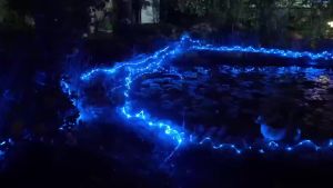 Solar Rope Lights Tube String Lights Solar Powered 2PCS 7/12/17/22M Blue LED 8 Modes for Garden Patio Christmas Party Decor