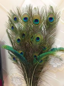 Natural Peacock Feather Decorative Vase Ornaments