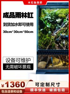 Smart Finished Product Rainforest Tank with Full Set of Equipment Aquarium Decoration Package Pet Food And Supplies