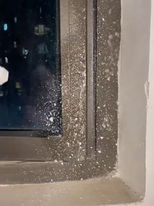 👍💯乳胶漆清洁剂 500ml Emulsion Latex Paint Remover (Remove Latex Paint ) 强力乳胶漆清洁剂 装修保洁木地板瓷砖墙面涂料腻子粉去除剂残留清洗剂 Paint Brush Cleaner Laser Paint Removal Removedor De Tinta - Lazada