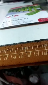 เมล็ดพันธุ์ มะเขือยาว สีเขียว ลูกผสม โทมาฮอค F1 ดกมาก ดูแลน้อย ต้นแข็งแรง ปลูกง่าย น้ำหนักดี ผลผลิตสูงทนโรค ผักสวนครัว