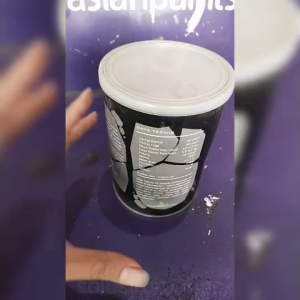 PROMIX hitam WB 1L AIR PELAPIS BATU ALAM DECOFRESH indana STONEKOTE