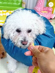 【PETZOOM】Pet drying bags hair blowing tools for dogs and cats universal dog bathing and drying clothes cat drying bags pet products