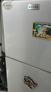 2026 NEW Gold Feng Shui Wealth 12 Zodiac Wealth and Good Luck Refrigerator Fortune Refrigerator