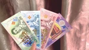 Authentic Attract Money Notes 正品古巴吉士纳蝴蝶钱母 (要小心外面低价的假货)