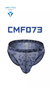 Mens Brief: Nylon Mesh Camouflage Brief Underwear (CMF073)