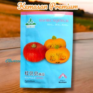 (KEMASAN PREMIUM) BIJI/BENIH LABU JEPANG KABOCHA ( isi -+10 butir)