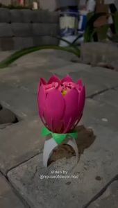 Lilin Musik Teratai Lotus Music Birthday Candle Lilin Kue Ulang Tahun Bisa Bunyi