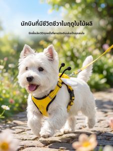 hipidog | Escape Proof Angel Wings Design Dog Chest Harness Lead