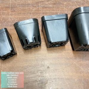 CNVDL2 - Sét 50 châu nhựa vuông đen ươm trồng cây nhiều size - xem trong mô tả