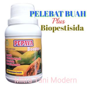 Pupuk Booster Pepaya Perangsang Buah Semprot Terbaik Agar Cepat Berbuah