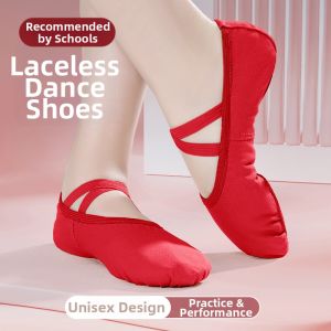 Ballet Practice Shoes Soft Bottom Cat Claw Design