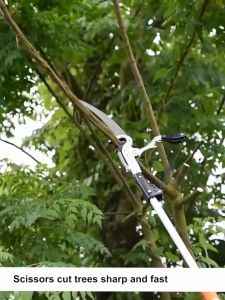 Heavy Duty Sharp Garden Tree Pruner Head Japan SK5 Steel Large High-Altitude Shear Fruit Picker Saw Tree Trimmer Clipper Tool With Pole