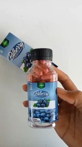 Herbal Ekstrak Bilberry Syifa 60 Kapsull | Menjaga Kesehatan Mata