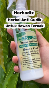 HERBADIX Obat Gudik Ternak Scabies Gatal Untuk Sapi Kambing Original