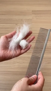 Homerunpet BC29 Dual-Teeth Pet Comb Silver หวีสางขน แบบไร้ด้าม by Pro Gadgets