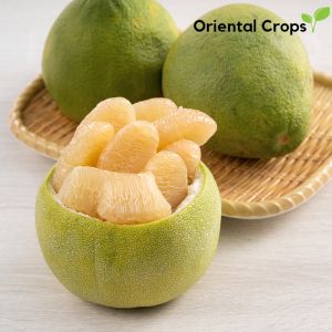 suha pomelo seeds binhi pantanim