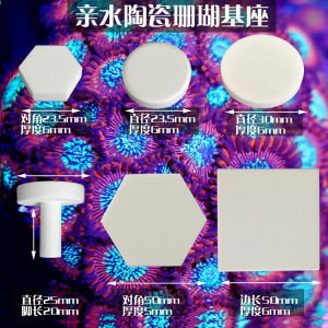Aquarium Button Base Broken Branch Broken Limb T-Type Tray SPS Sea Coral Rack Breeding Ceramic Base round Hexagonal