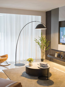 AOMAO | Full Spectrum Luxury Smart Floor Lamp