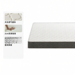 YUANSHI YUANSU | Ergonomic Whole Spring Support Mattress 180cm